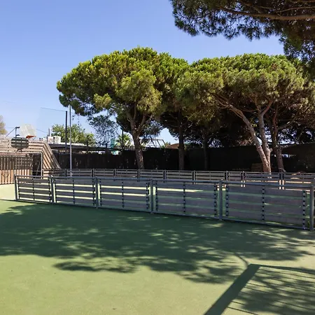 Holacamp Barcelona 营地 加瓦