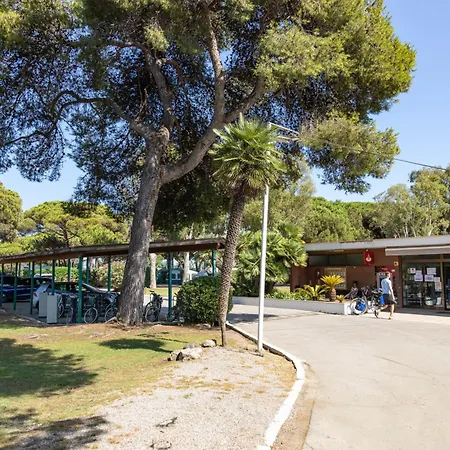 Holacamp Barcelona * 加瓦